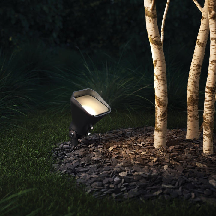 Accent Floodlight