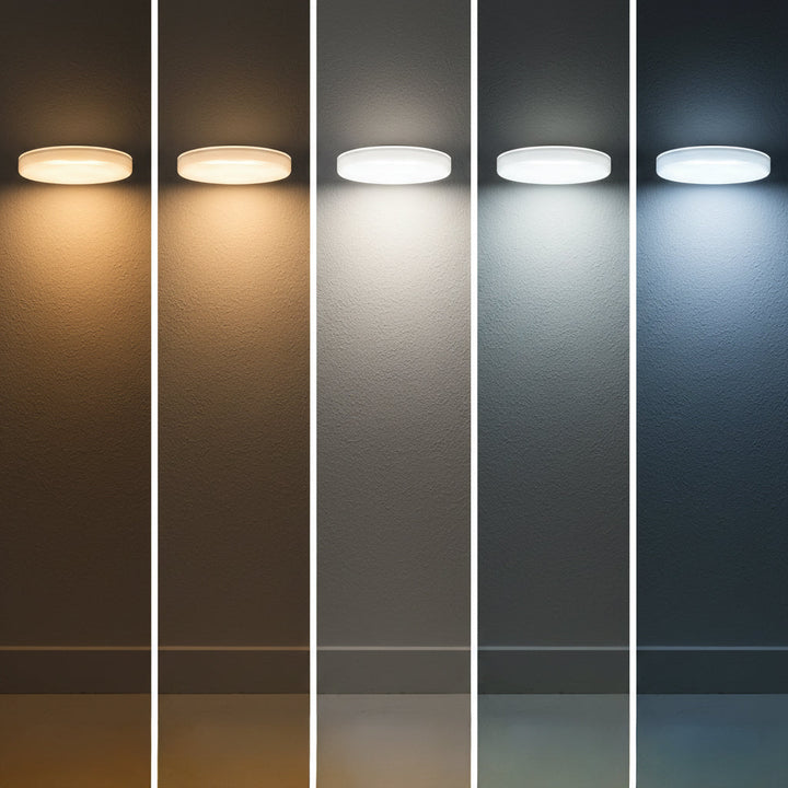 Frameless LED Flush Mount 5CCT - FM3