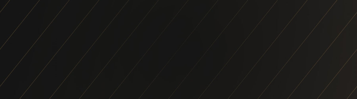 LV Lighting trade program