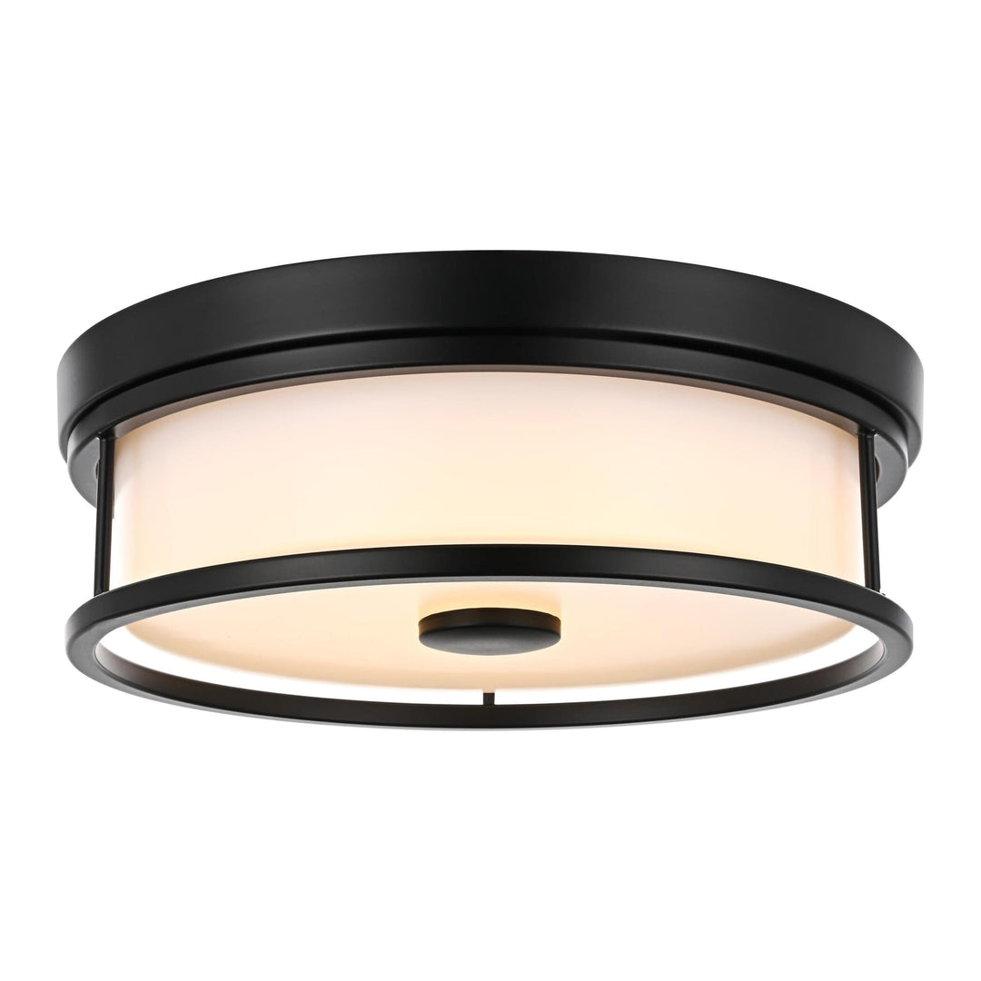 Series LD305 Flush Mount