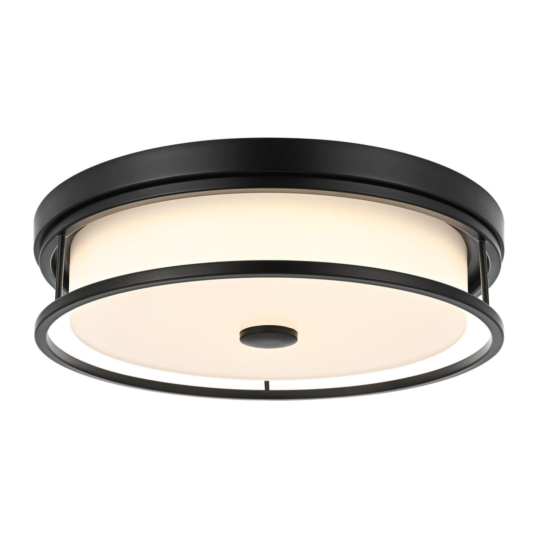 Series LD305 Flush Mount