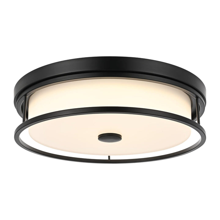 Series LD305 Flush Mount
