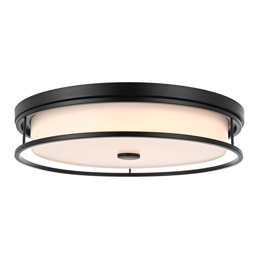 Series LD305 Flush Mount