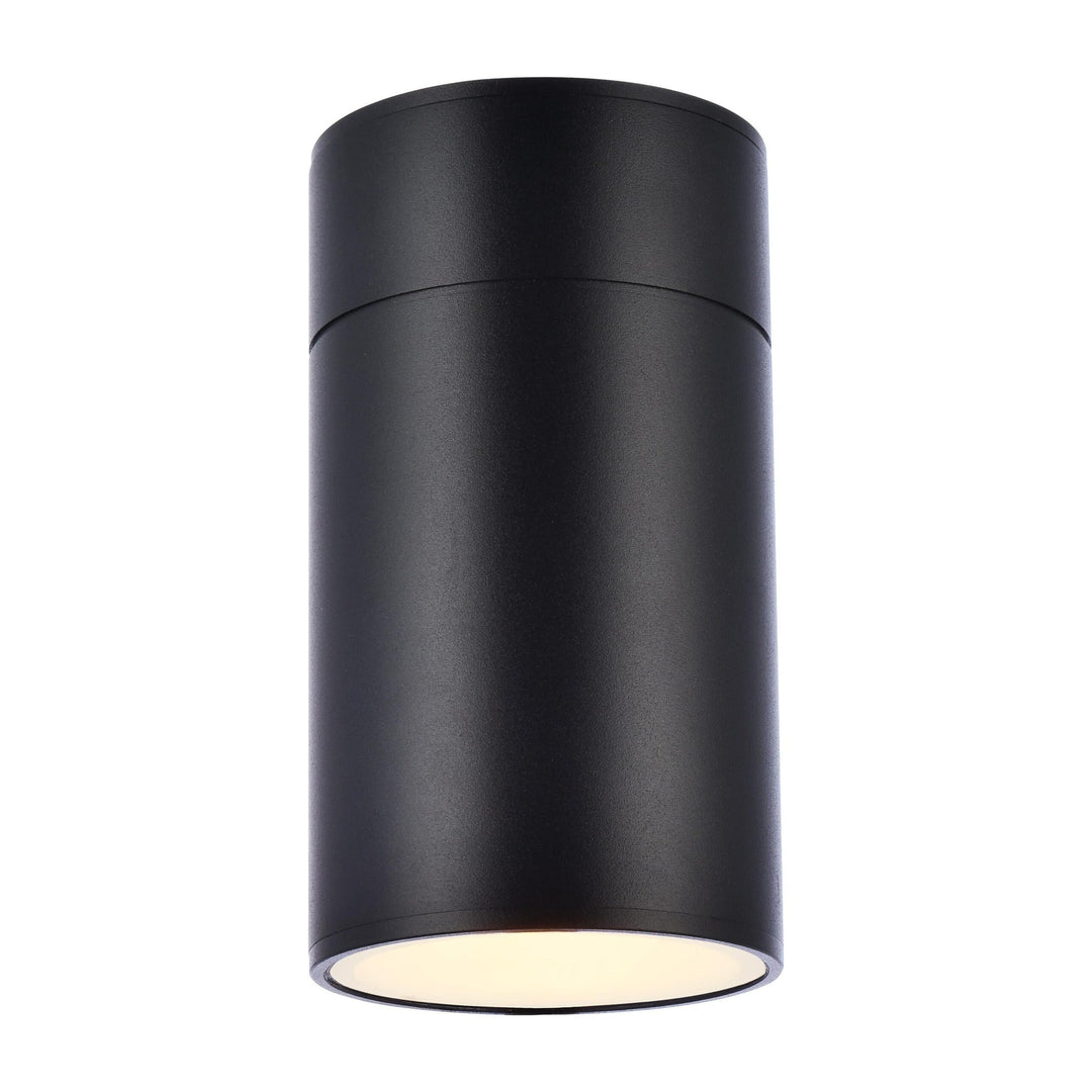 Raine Outdoor Wall Light (LDOD4018) in Black by Living District
