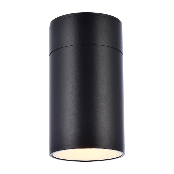 Raine Outdoor Wall Light (LDOD4018) in Black by Living District
