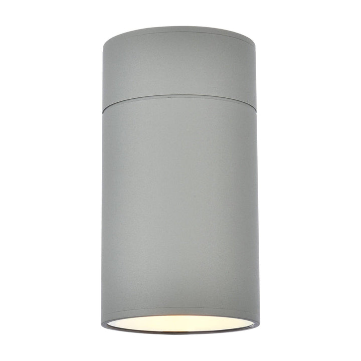 Raine Outdoor Wall Light (LDOD4018) in Silver by Living District