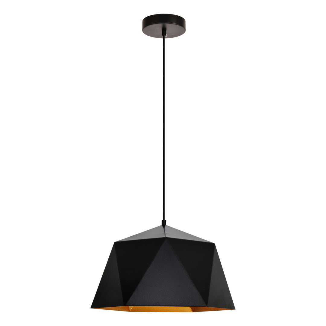 Arden Pendant in Black by Living District