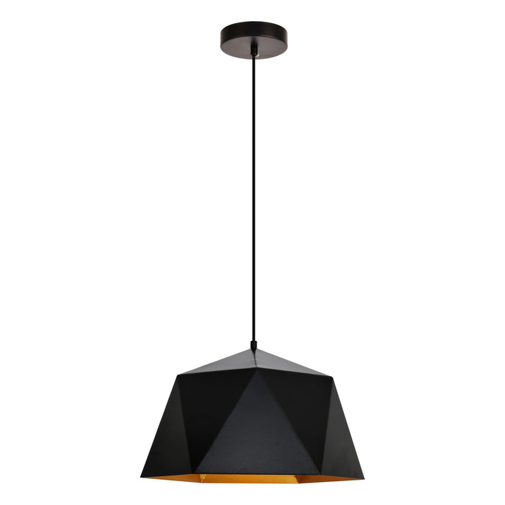 Arden Pendant in Black by Living District