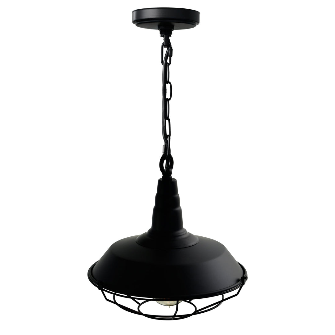 Morgan - 1 Light Pendant