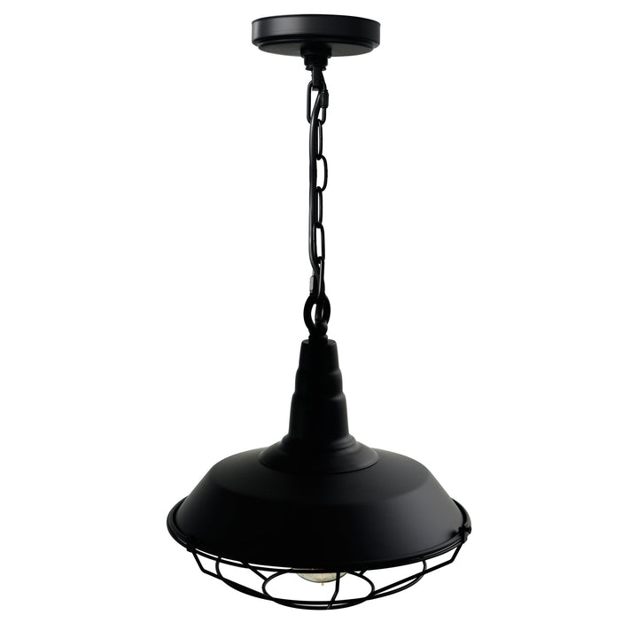 Morgan - 1 Light Pendant