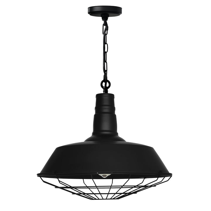 Morgan - 1 Light Pendant
