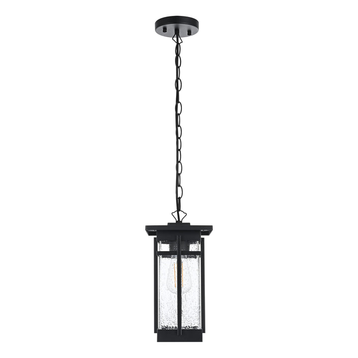 Livingston Outdoor Pendant by Elegant