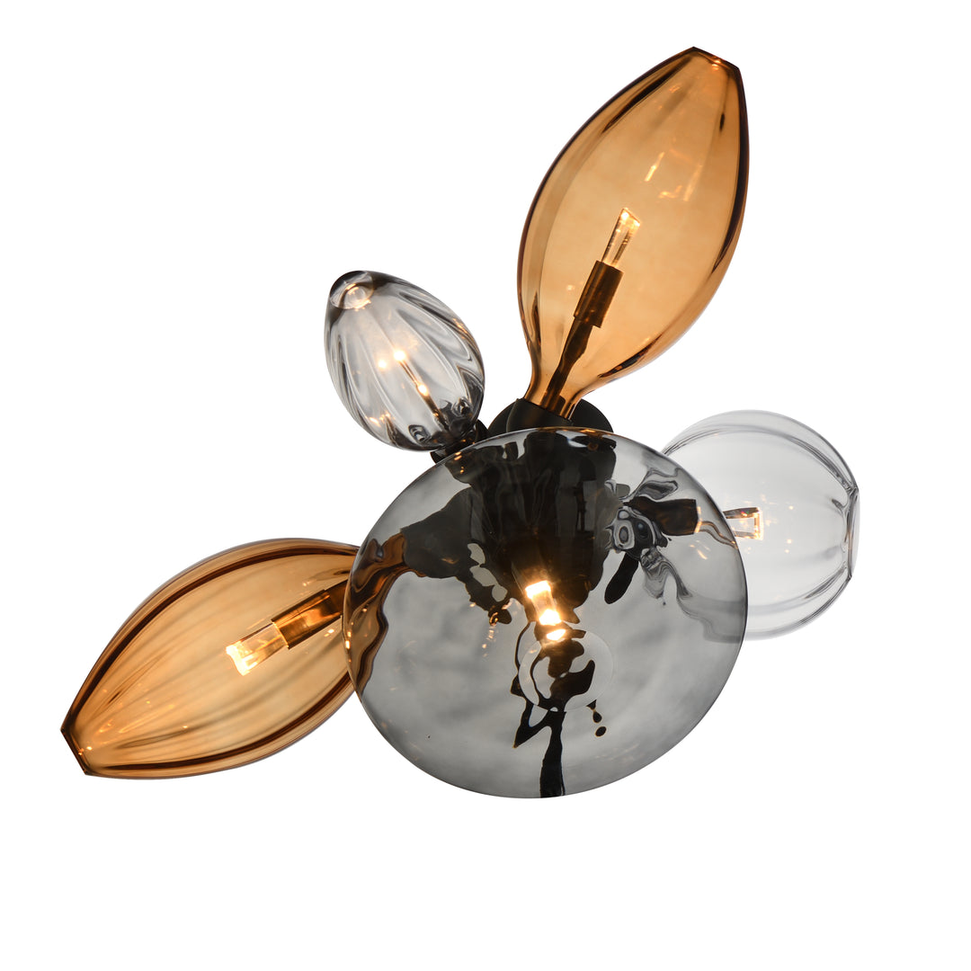 Ray Dance Cluster LED Wall Sconce in Black by Studio M