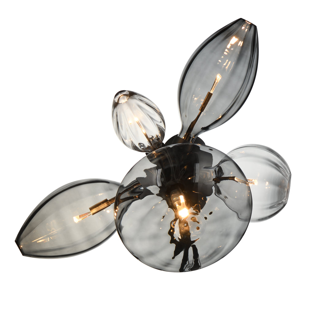 Ray Dance Cluster LED Wall Sconce in Black by Studio M