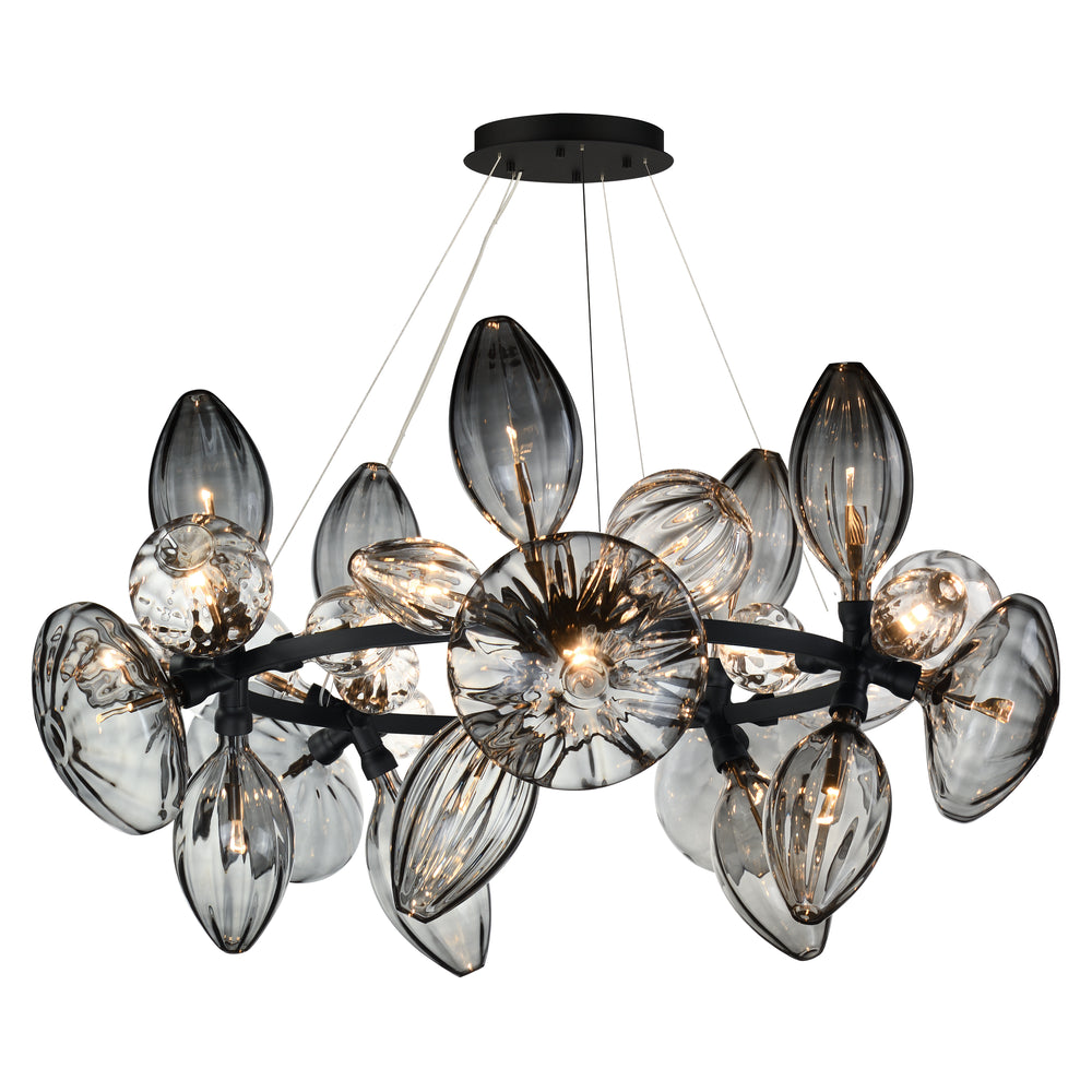 Ray Dance Cluster 30-Light 5 Cluster LED Pendant in Black by Studio M