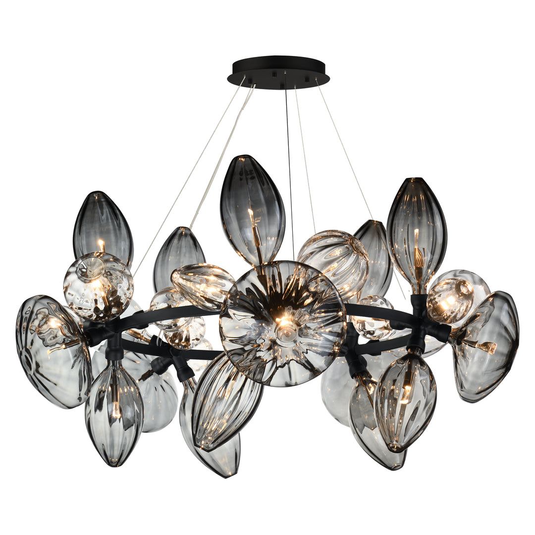 Ray Dance Cluster 30-Light 5 Cluster LED Pendant in Black by Studio M