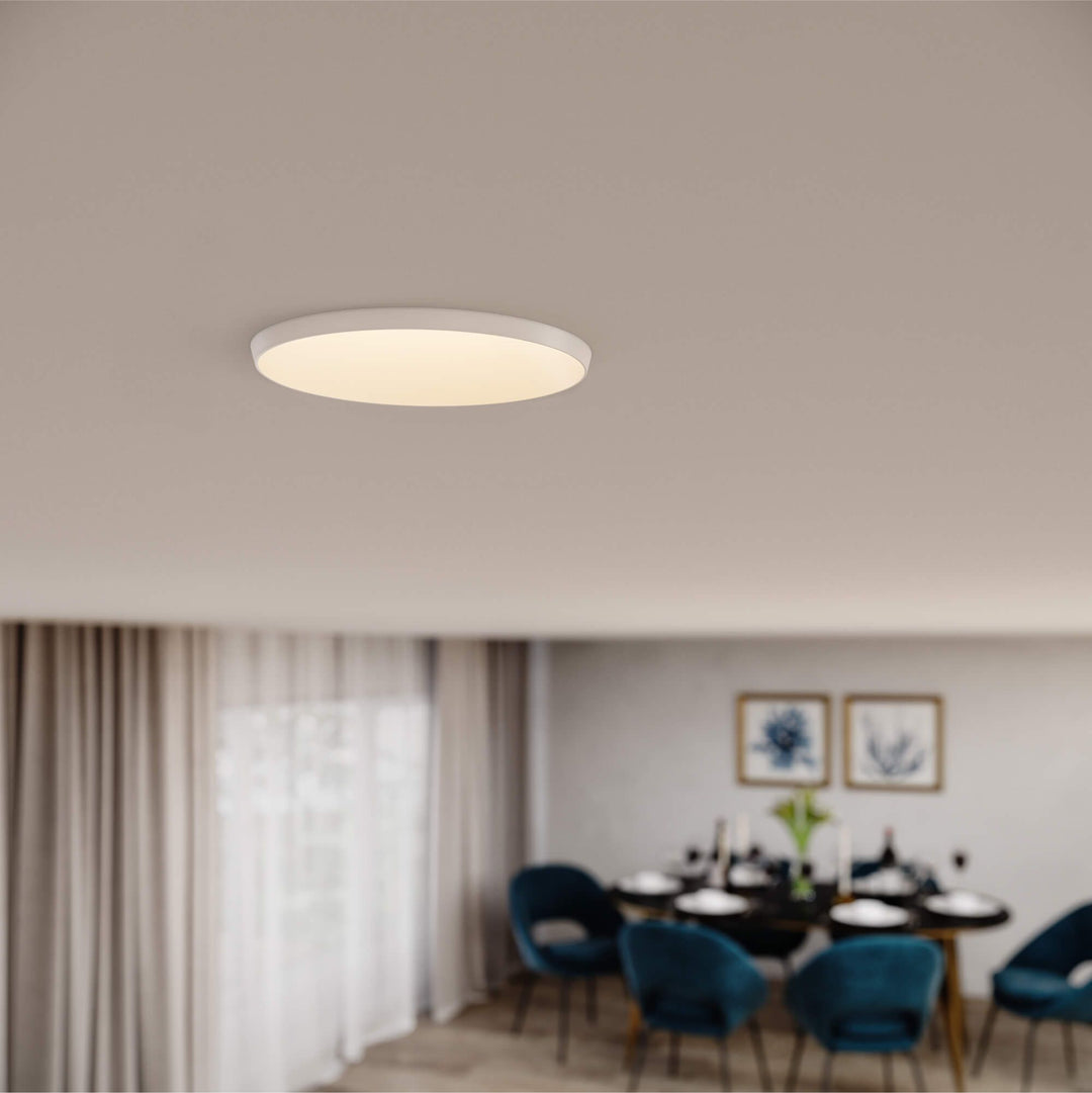 Nest - LED Almost Trimless Downlight