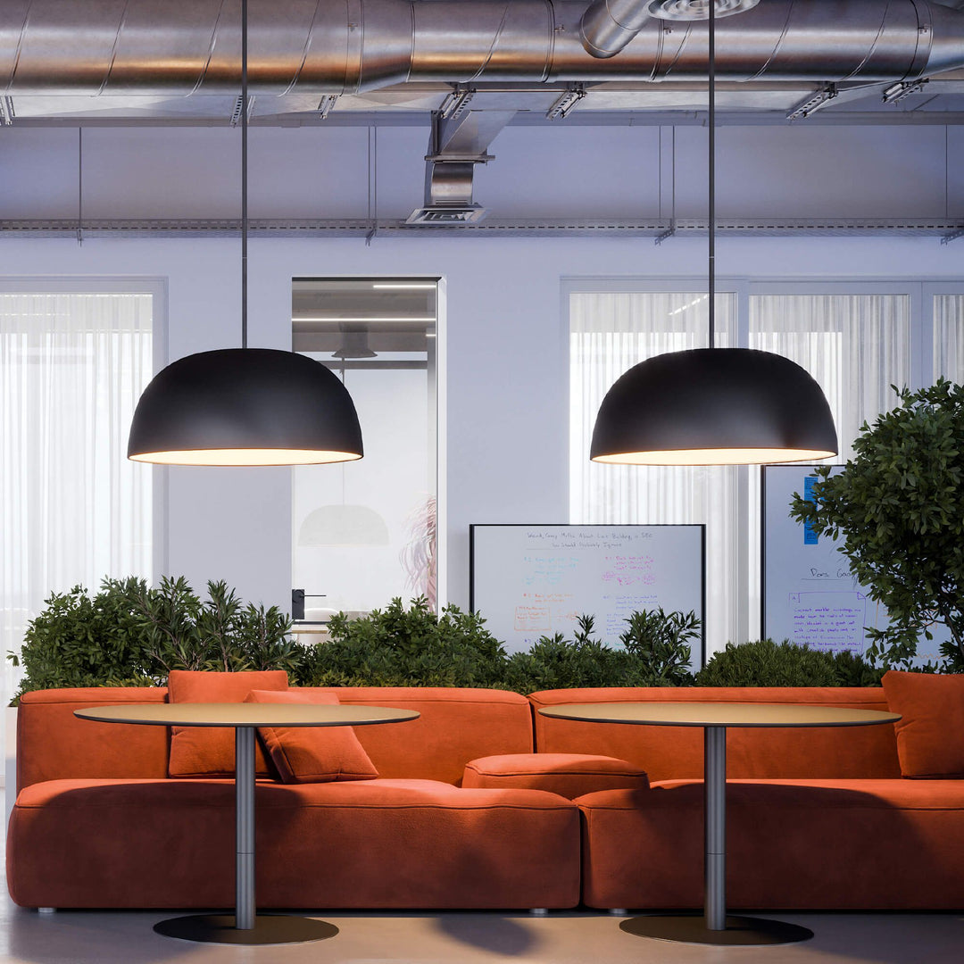 Napa - LED 2-in-1 Flush Mount and Pendant