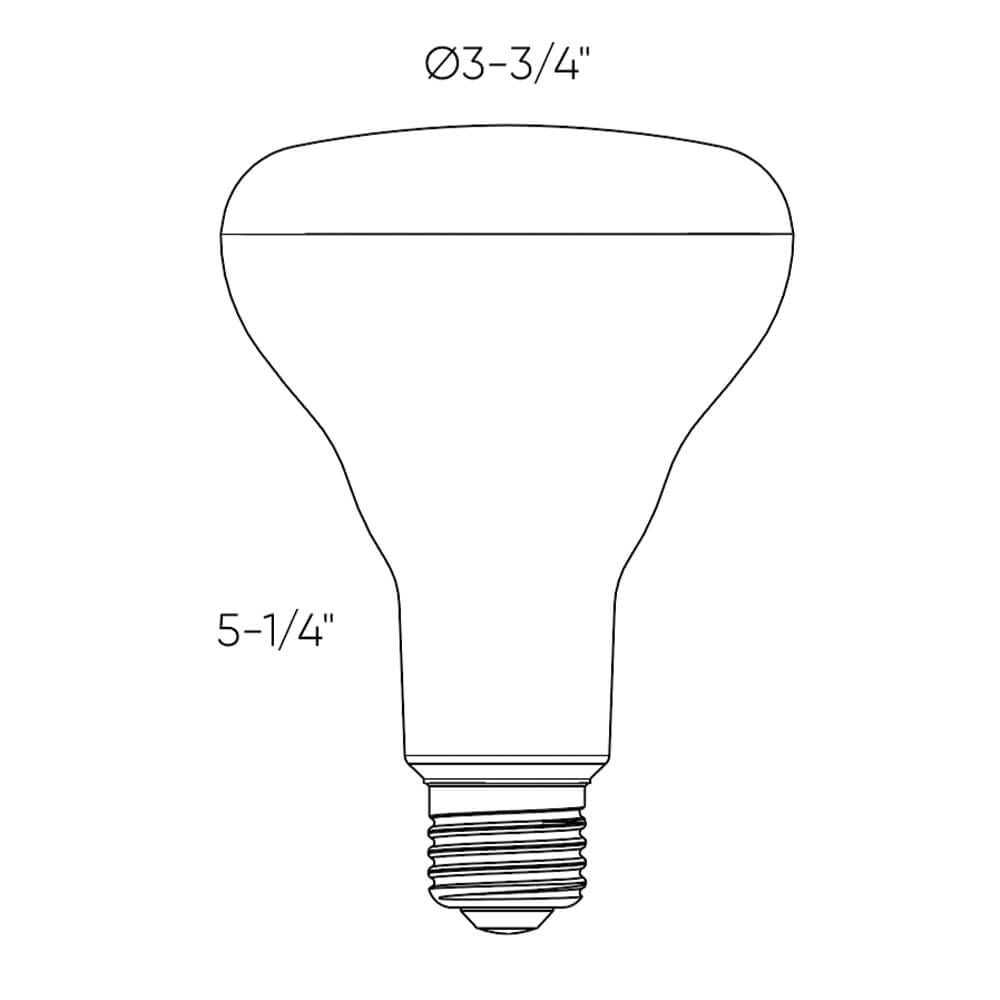 BR30 Pro - BR30 Smart Bulb