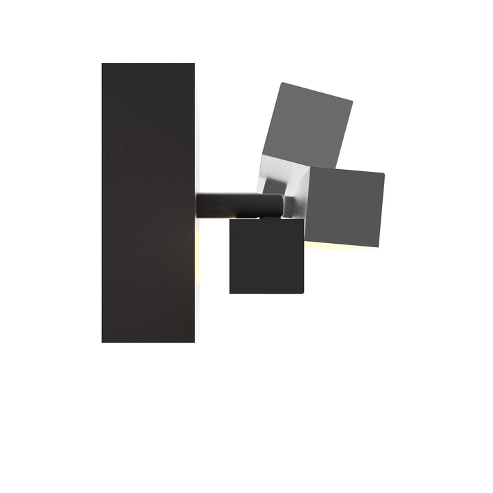 Portrait - LED Picture Wall Light