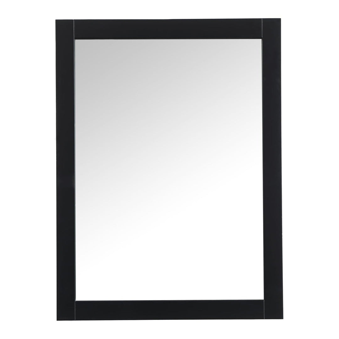 Aqua Rectangle Mirror in Black by Elegant