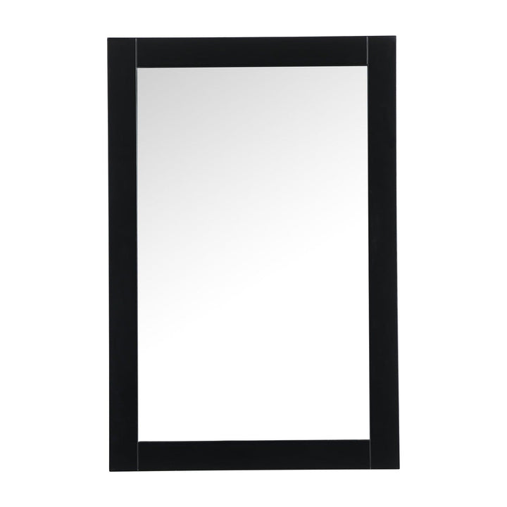 Aqua Rectangle Mirror in Black by Elegant