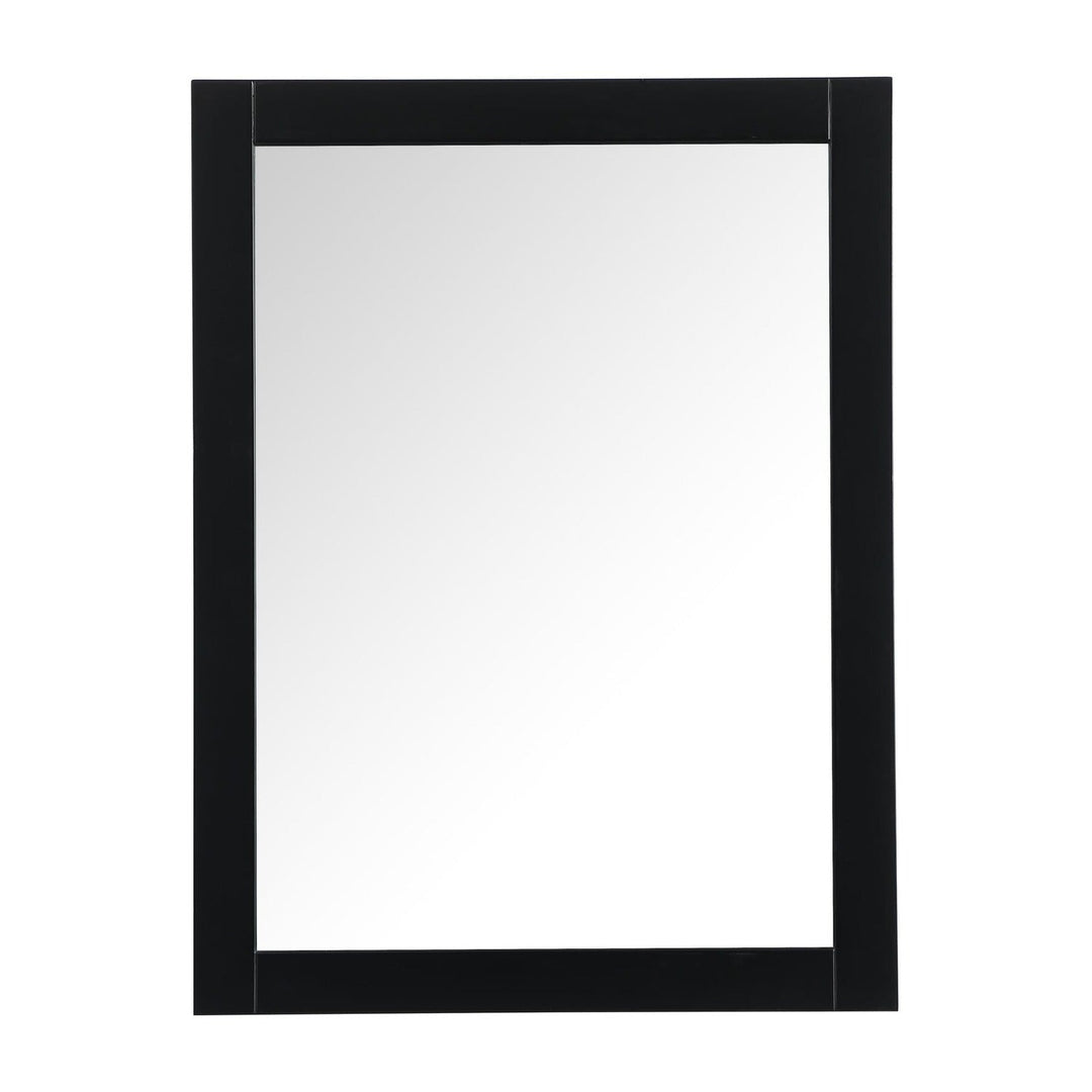 Aqua Rectangle Mirror in Black by Elegant