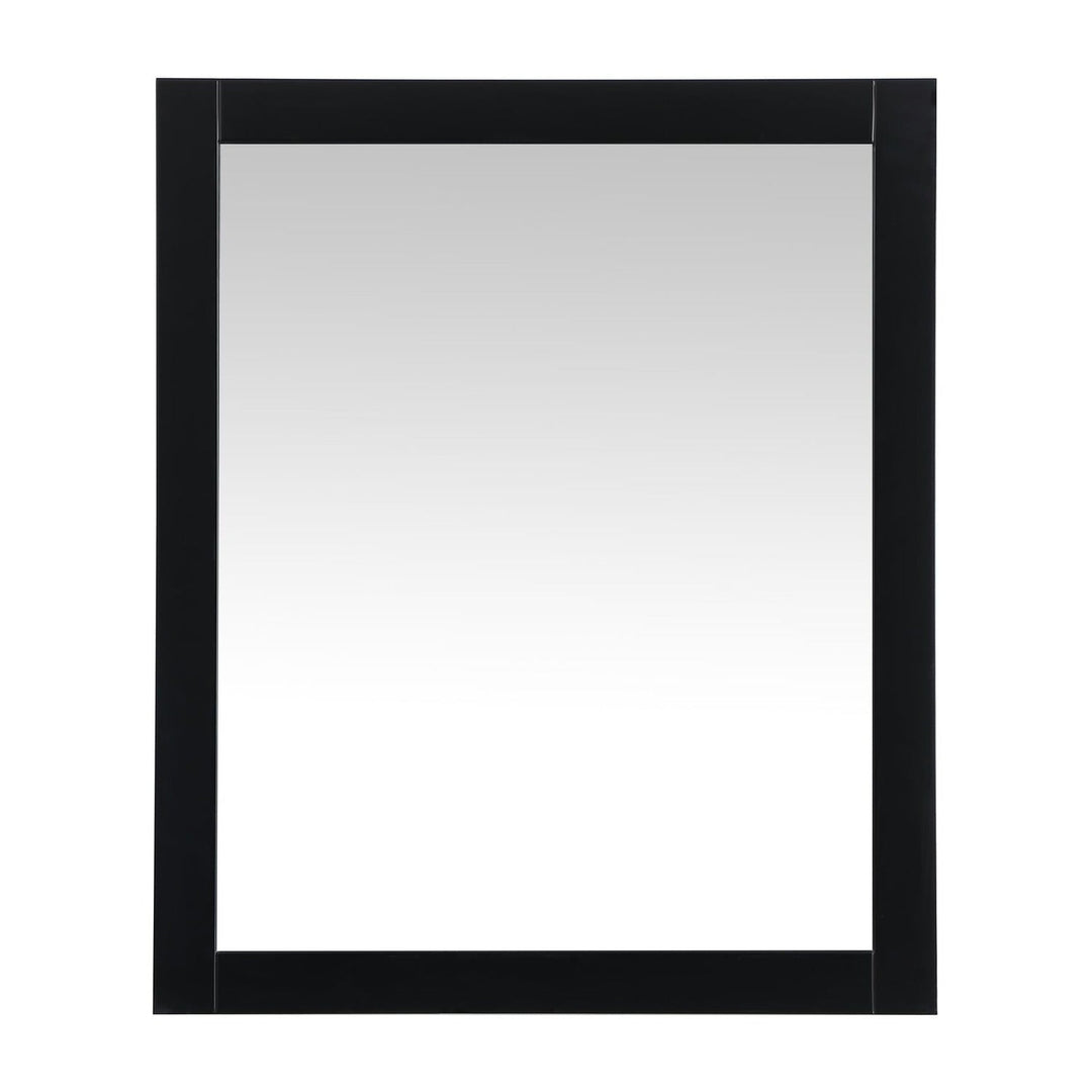 Aqua Rectangle Mirror in Black by Elegant