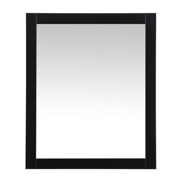 Aqua Rectangle Mirror in Black by Elegant