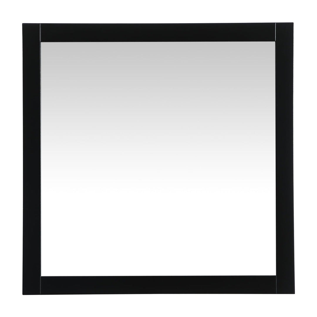 Aqua Rectangle Mirror in Black by Elegant