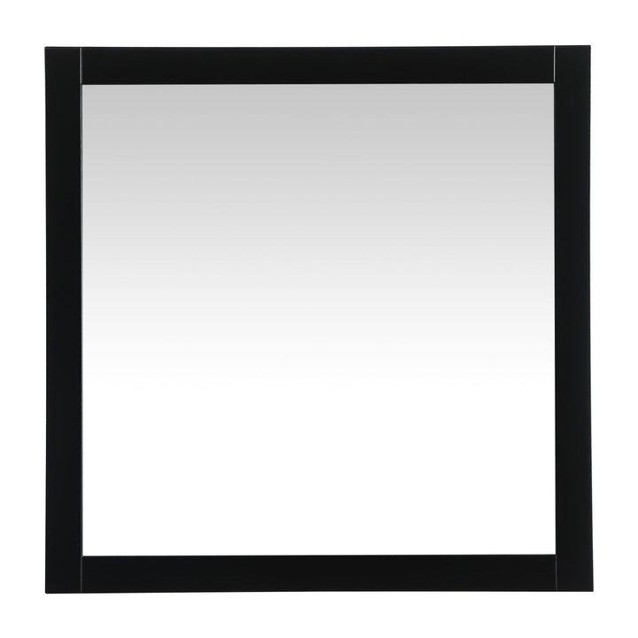 Aqua Rectangle Mirror in Black by Elegant