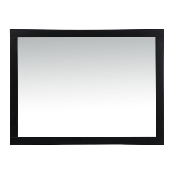 Aqua Rectangle Mirror in Black by Elegant