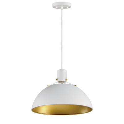 Aluminum Detached Shade Pendant - LV LIGHTING