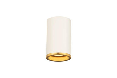 Steel Cylindrical with Trim Flush Mount - LV LIGHTING