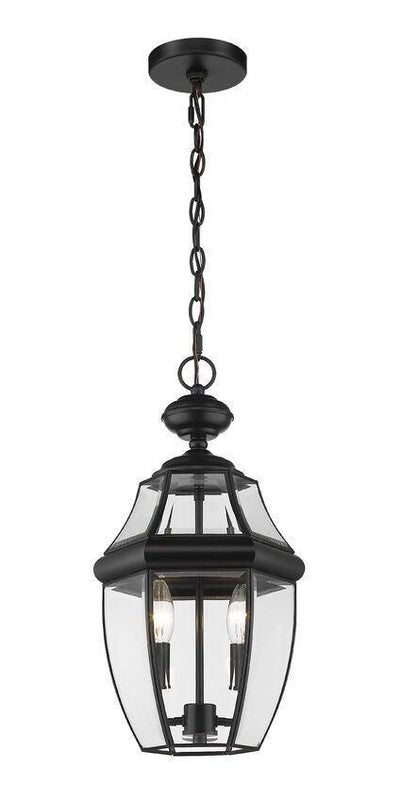 Black with Curve Glass Shade Outdoor Pendant - LV LIGHTING