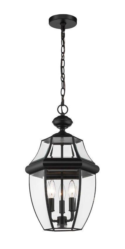 Black with Curve Glass Shade Outdoor Pendant - LV LIGHTING