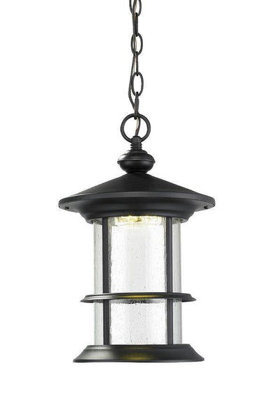 Black Caged Round with Clear Seedy Glass Shade Outdoor Pendant - LV LIGHTING