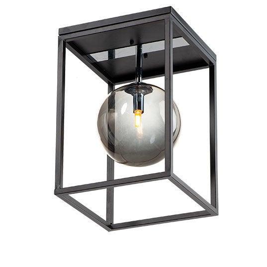 Steel with Clear Glass Globe Caged Flush Mount - LV LIGHTING