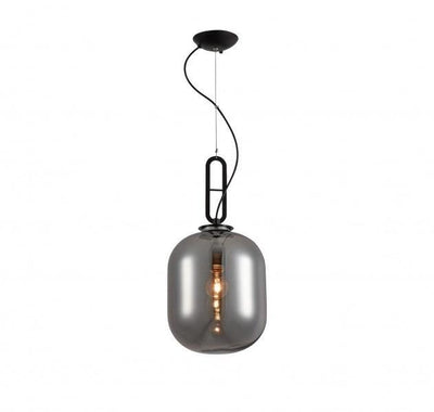 Matte Black with Clear Glass Shade Single Light Pendant - LV LIGHTING