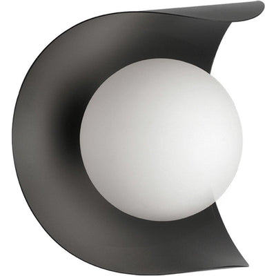 Steel with Frosted Glass Globe Wall Sconce - LV LIGHTING