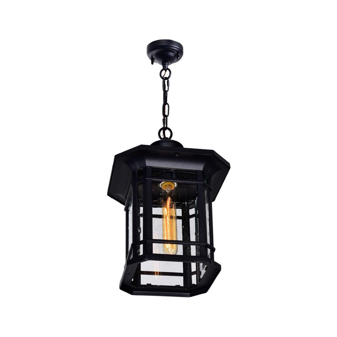 Black with Clear Seedy Glass Outdoor Pendant - LV LIGHTING