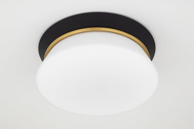 Steel with Opal Etched Glass Shade Round Flush Mount - LV LIGHTING