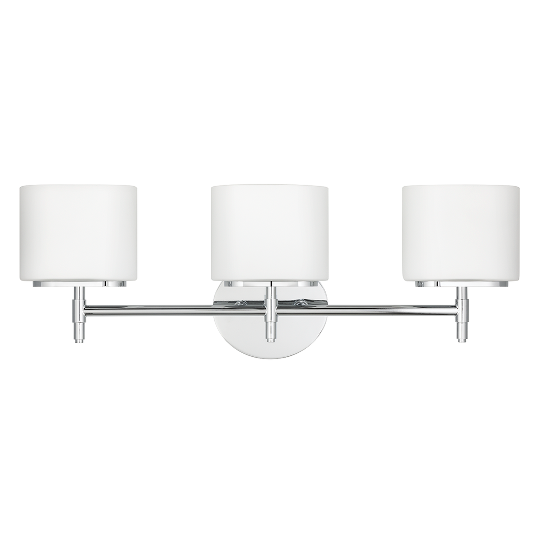 Steel Frame with Opal Matte Glass Shade Vanity Light