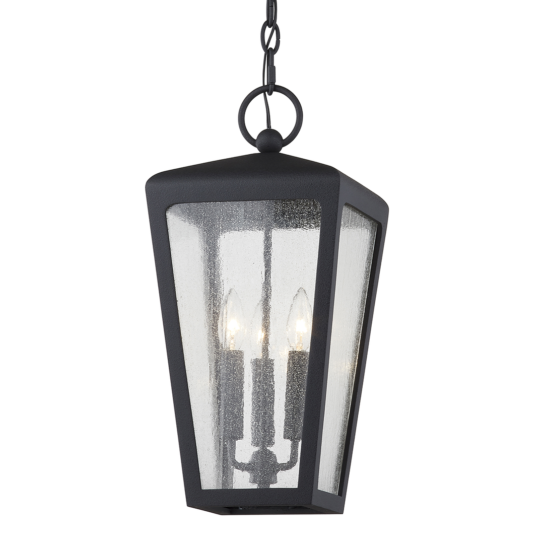 Textured Black with Clear Seedy Glass Shade Outdoor Pendant