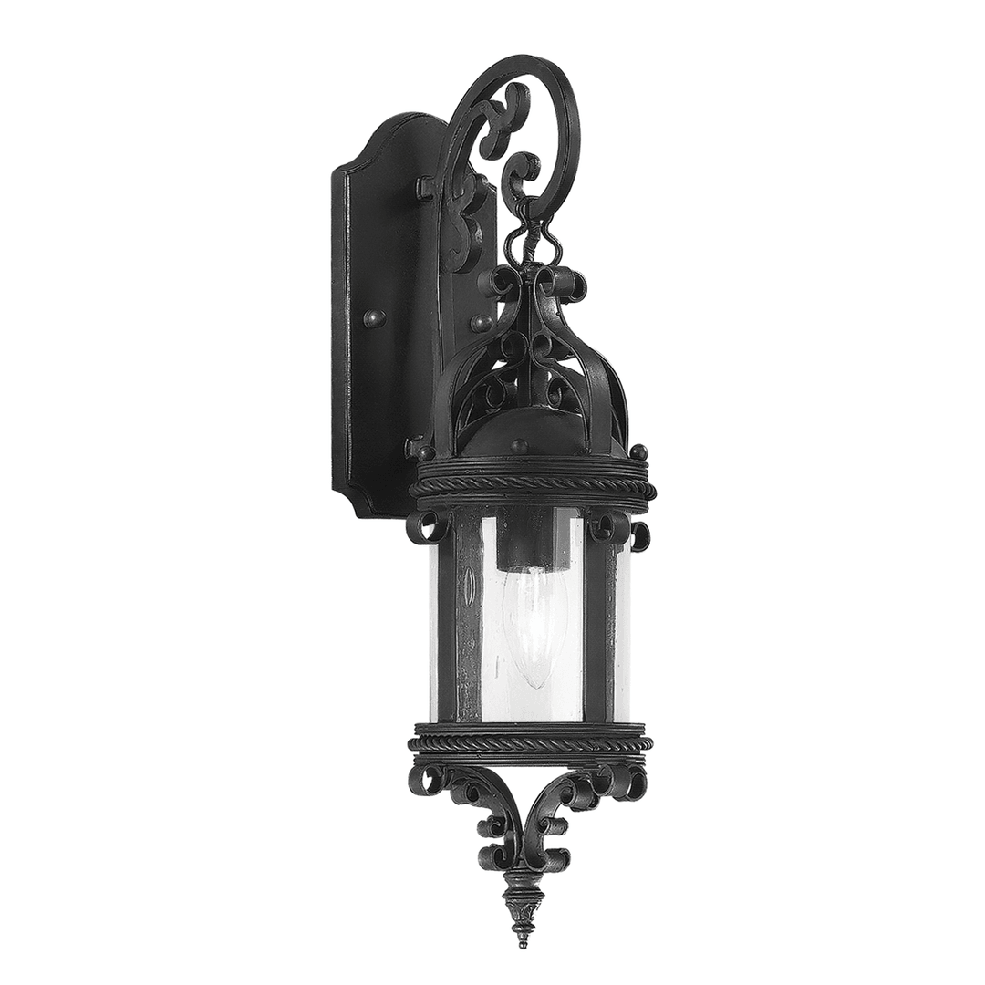 Old Bronze with Clear Seedy Glass Shade Outdoor Wall Sconce - LV LIGHTING