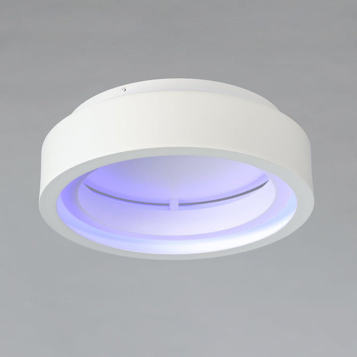 LED Aluminum Frame with Acrylic Diffuser Color Changeable Flush Mount - LV LIGHTING