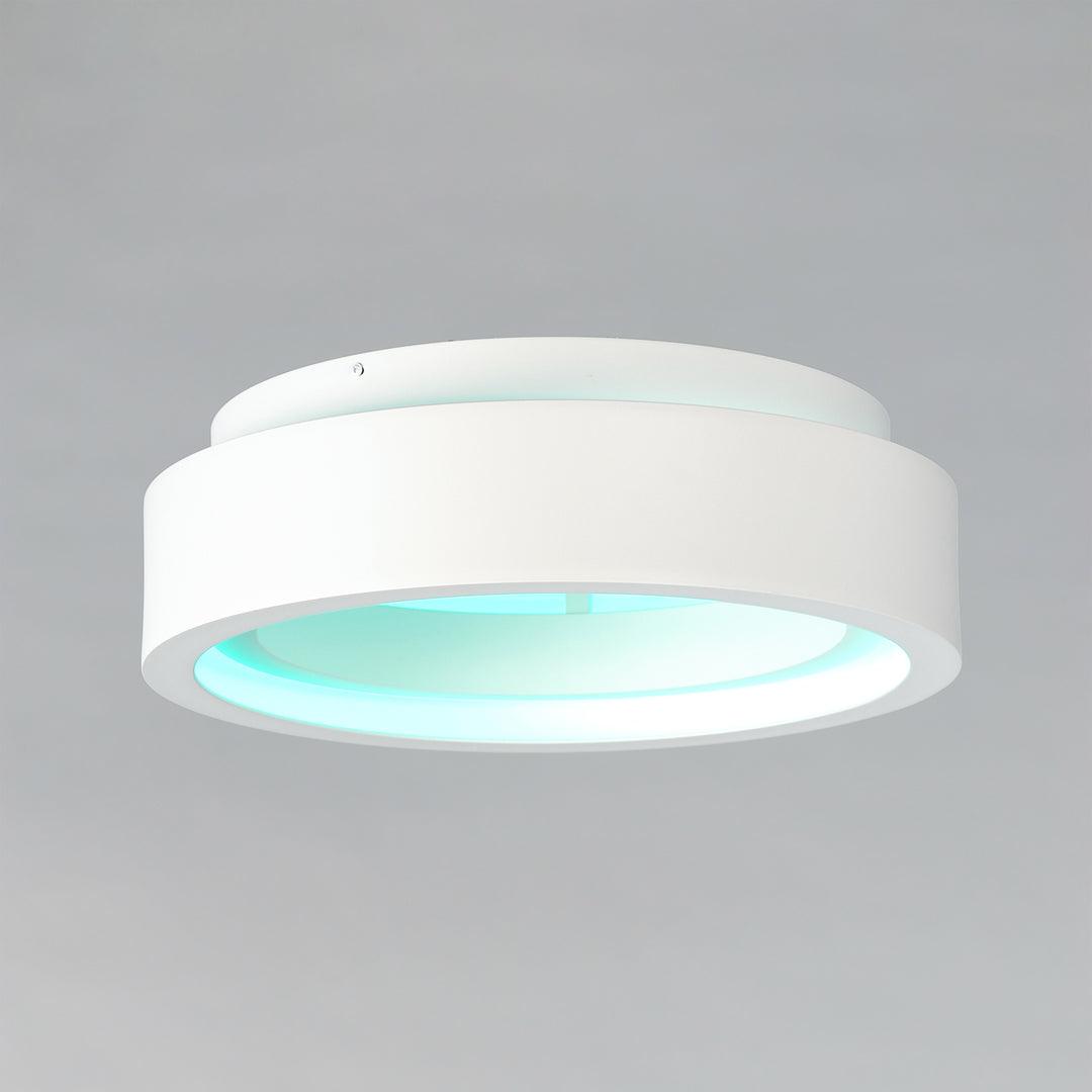 LED Aluminum Frame with Acrylic Diffuser Color Changeable Flush Mount - LV LIGHTING