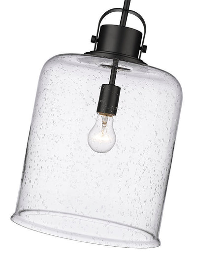 Steel with Clear Seedy Glass Shade Pendant