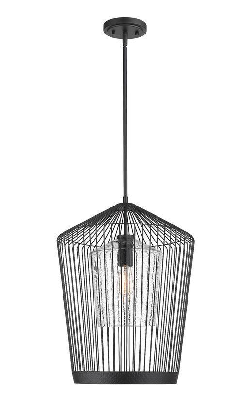 Matte Black Caged with Clear Glass Shade Pendant - LV LIGHTING