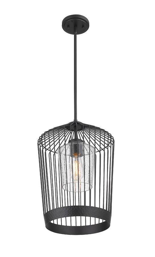 Matte Black Caged with Clear Glass Shade Pendant - LV LIGHTING